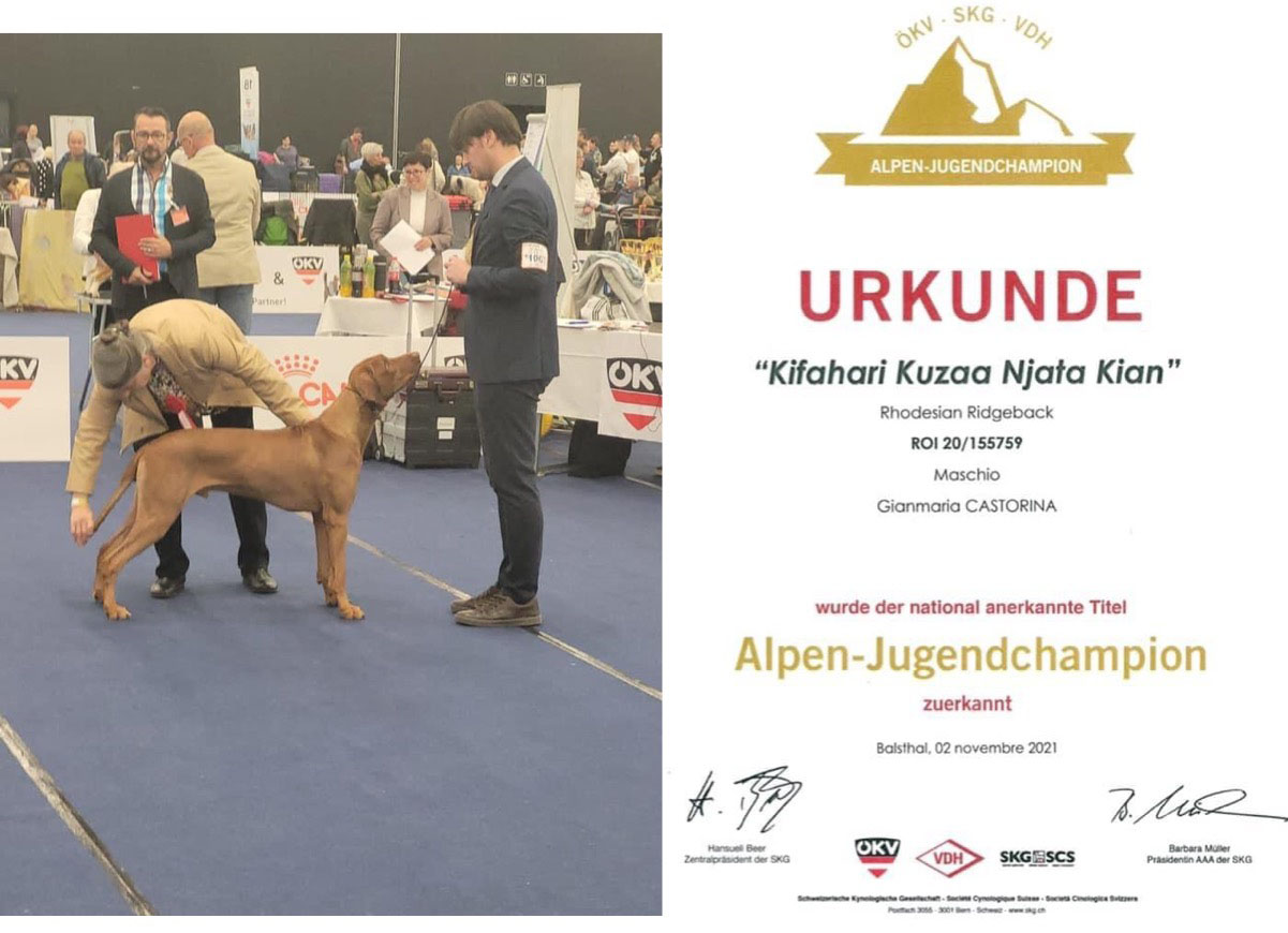  Alpen-Jugendchampion